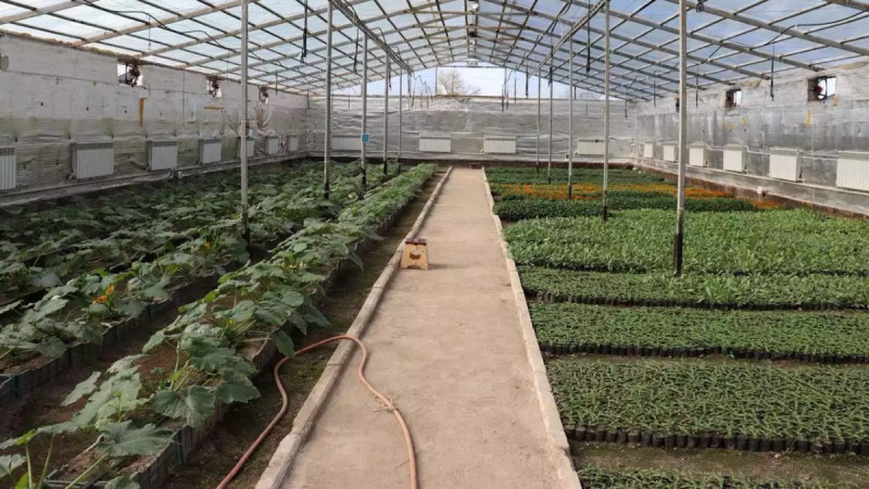 Жерасты жылыжайы – ауыл кәсіпкерлігінің жаңа бағыты