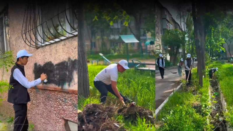 "Таза Қазақстан - есірткісіз өмір": Таразда есірткіге қарсы тазалық акциясы өтті
