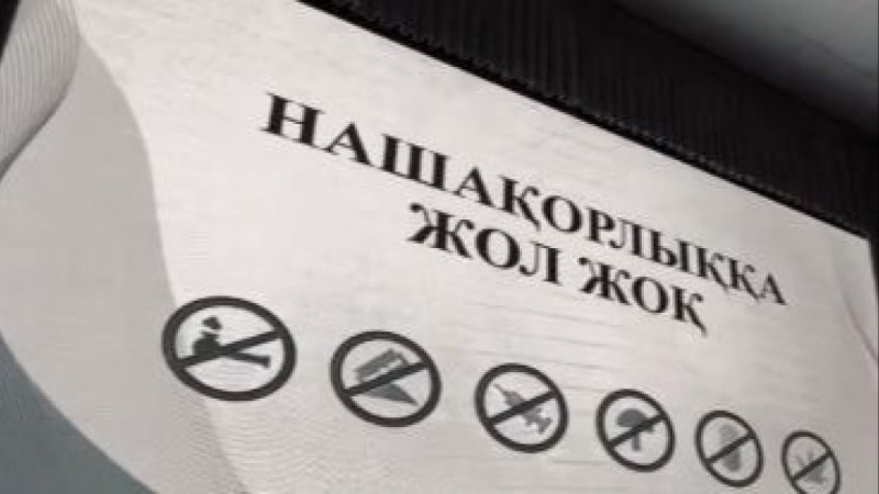 Таразда 500-ден астам оқушының қатысуымен нашақорлыққа қарсы іс-шара өтті