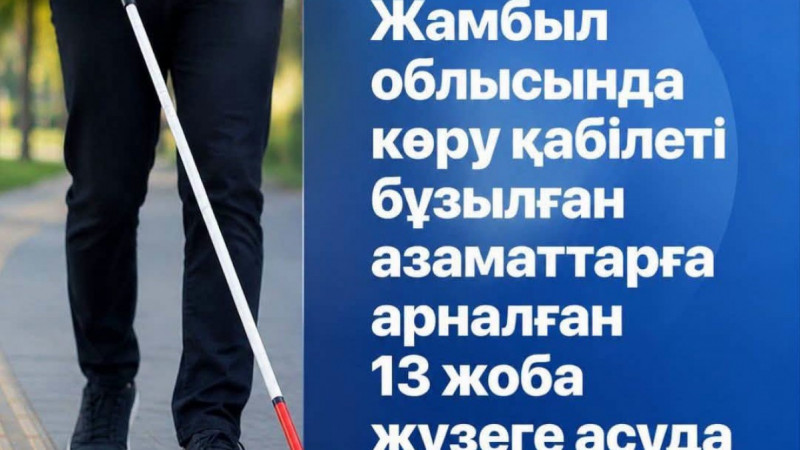 Жамбылдағы арнайы кітапхана инклюзивті қызметті цифрлық технологиялармен ұштастырып келеді