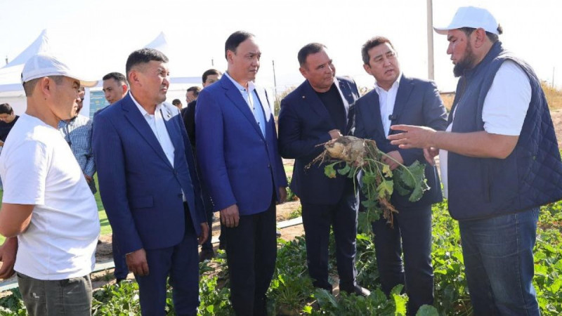 Айдарбек Сапаров Жамбыл облысындағы қант саласының дамуы және ауыл шаруашылығы өнімдерін қайта өңдеу барысымен танысты