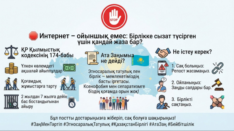 Интернет – ойыншық емес: Бірлікке сызат түсірген үшін қандай жаза бар?